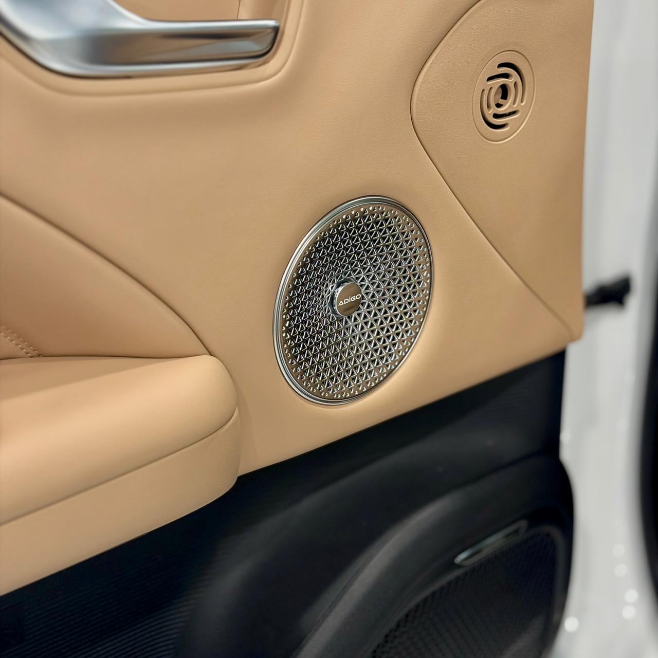 GAC Aion Aion V